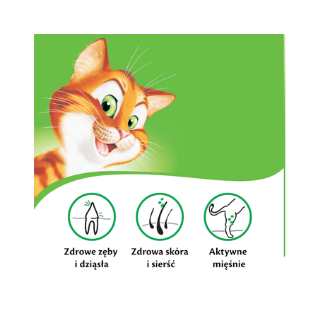 KITEKAT 12KG  sucha karma dla kota WOŁOWINA Z WARZYWAMI