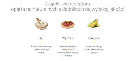 Josera Carismo Senior sucha karma dla kota 2kg