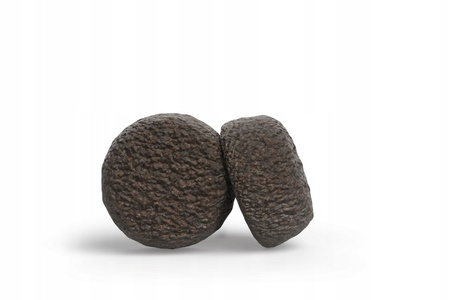 Josera Adult Festival 12,5kg Karma Dla Wybrednych Psów z Łososiem i Sosem