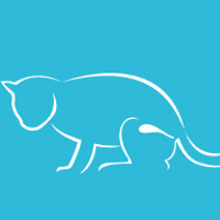 Arion Original Cat STERILIZED Chicken sucha karma dla kota 7,5kg