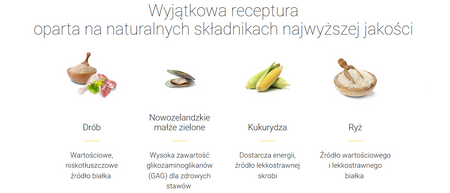 Josera Kids JUNIOR sucha karma dla psa12,5kg