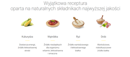 Josera SensiCat  sucha karma dla kota 10kg