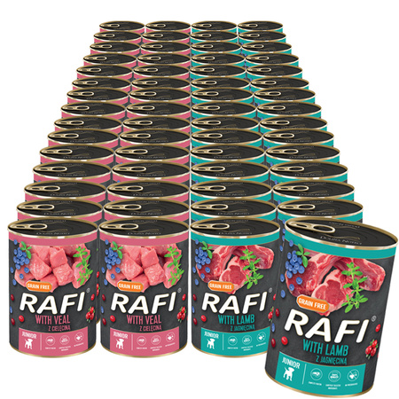 RAFI JUNIOR Mix smaków - Zestaw mokra karma dla psa 60x400g