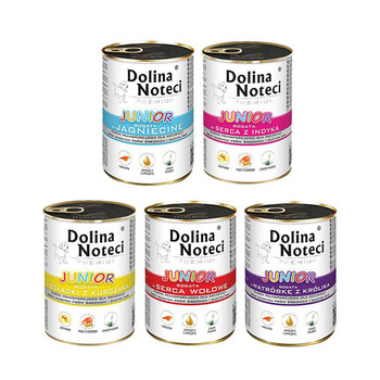 Dolina Noteci Junior MIX SMAKÓW - Zestaw 20x400g