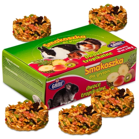 SMAKOSZKA GRYZOŃ TROPICALNA