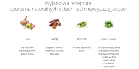 Josera DailyCat sucha karma dla kota 10 kg