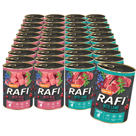 RAFI JUNIOR Mix smaków - Zestaw mokra karma dla psa 40x400g