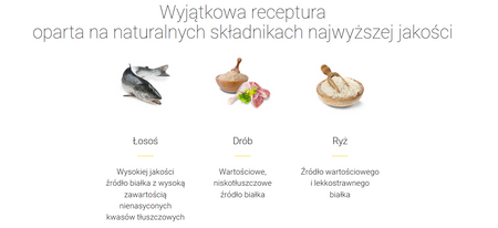 Josera Kitten sucha karma dla kociąt 10 kg +1 KG