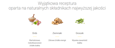 Josera Kitten Grainfree sucha karma dla kota bezzbożowa 2 kg