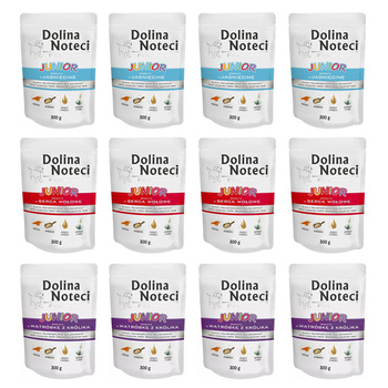 DOLINA NOTECI PREMIUM JUNIOR Mix Smaków mokra karma dla psa 12x300g