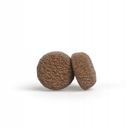 Josera Mini Adult Chicken Rice sucha karma dla psa10kg + 900g