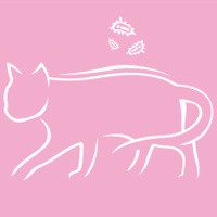 Arion Cat Kitten sucha karma dla kociąt 7,5kg