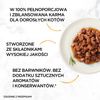 Gourmet Gold Sauce Delights – mokra karma dla dorosłych kotów 48x85g