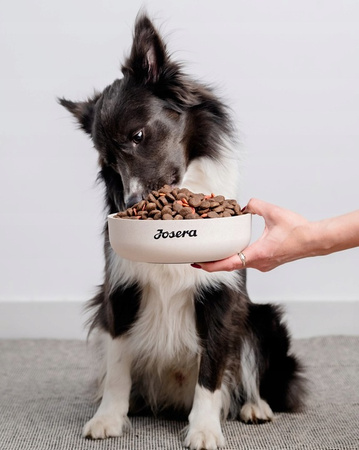 Josera Lamm Reis Lamb Rice sucha karma dla psa 12,5kg