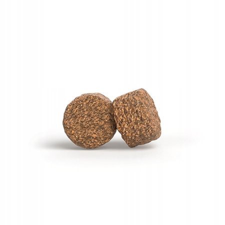 Josera Mother & Puppy Salmon & Rice 2x12,5kg sucha karma dla ciężarnych i karmiących suk oraz ich szczeniąt(25kg)