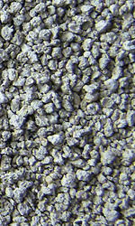 Super Benek 5l compact żwirek