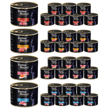 Dolina Noteci Premium KOT Mix Smaków mokra karma dla kota 24x185g