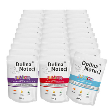 Dolina Noteci Junior Mix smaków mokra karma dla psa 30x300g