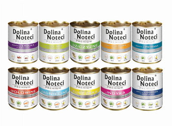 Dolina Noteci Premium MIX SMAKÓW 20x800g