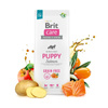 Brit Care Puppy Grain Free Salmon  sucha karma dla psa  12kg